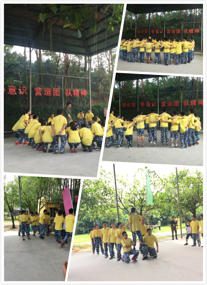 1467104525421516.jpg 01.jpg